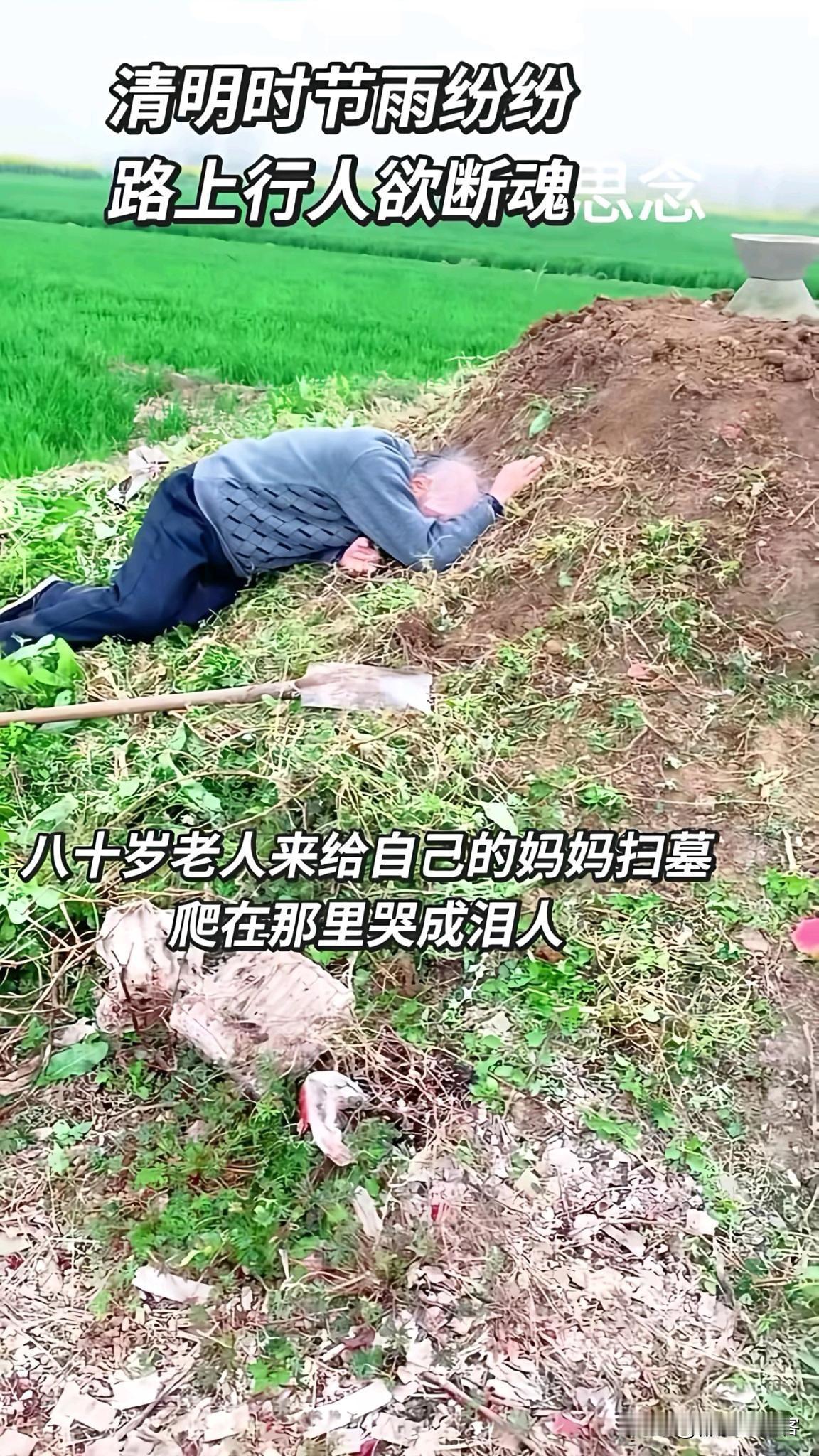 年逾古稀的老人，趴在父母的坟前，嚎啕大哭：爸，妈，我走不动了，这可能我最后一次来