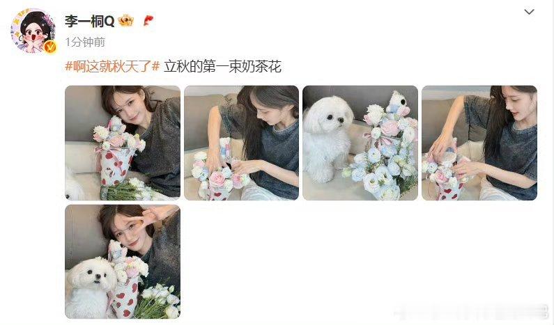 李一桐晒立秋第一束奶茶花李一桐晒出立秋第一束奶茶花，这创意直接拉满！又能喝又能看