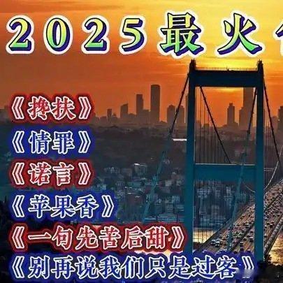 《2025最火热歌《搀扶》《诺言》《情罪》《苹果香》太好听了！》播放量：63作者