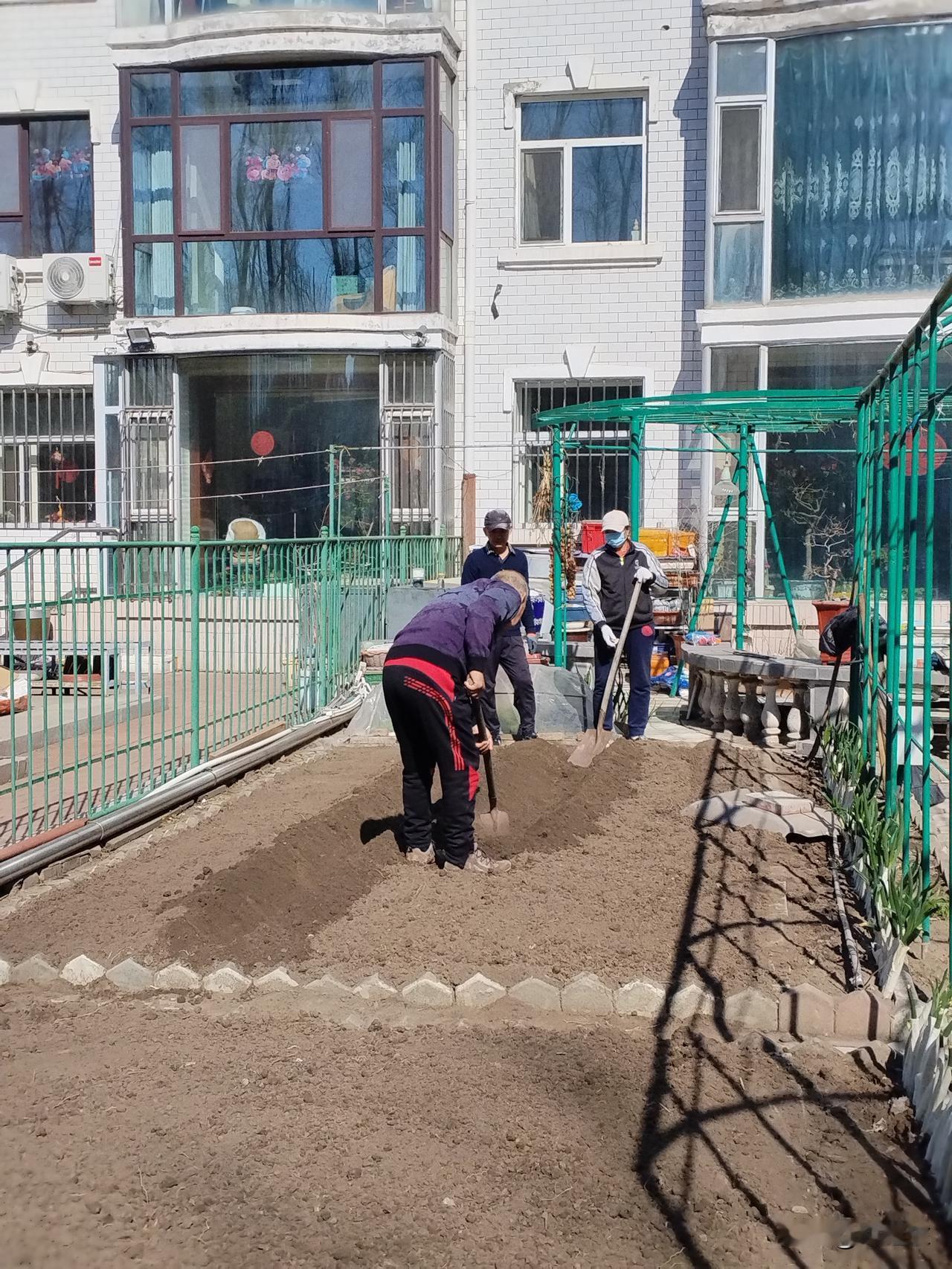 这里是黑龙江省肇东市。
   虽然春日仍然冷暖交替，但浩荡的春风已势不可当。
 