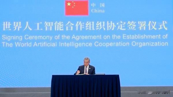 世界人工智能合作组织结构与发展战略目标 

2026年7月16日，世界人工智能合