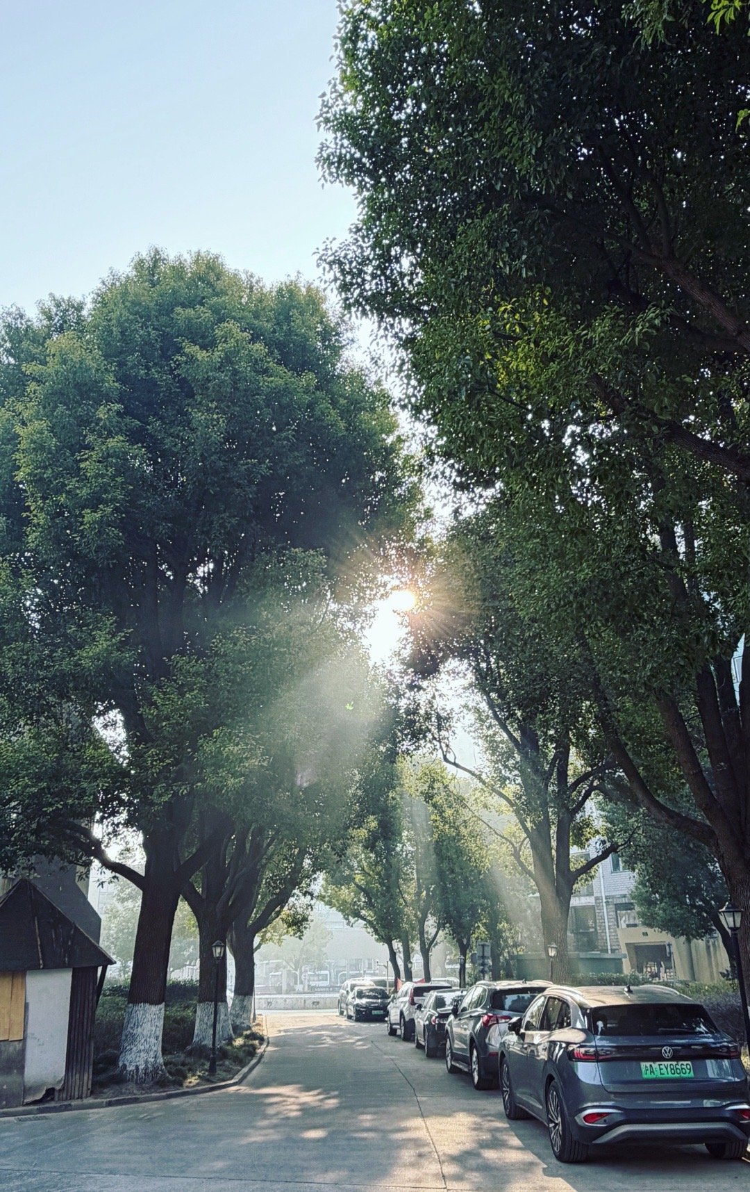 早上的丁达尔光 