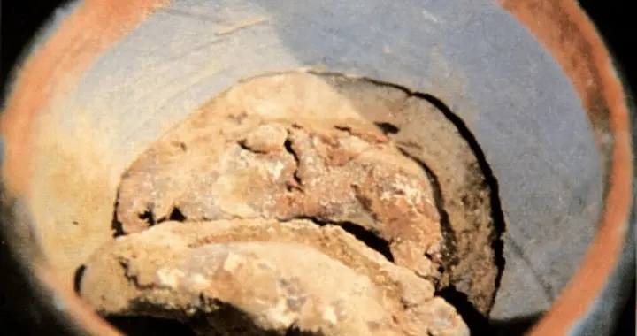 春节美食繁多，但好吃不过饺子，它为何永远都是C位？