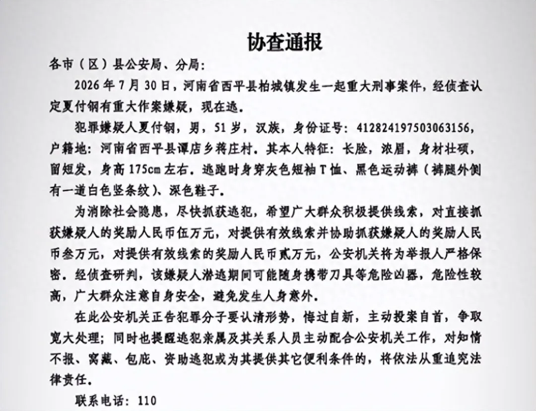 案发10天后，河南西平县重大刑事案嫌疑人落网，在距离西平十几