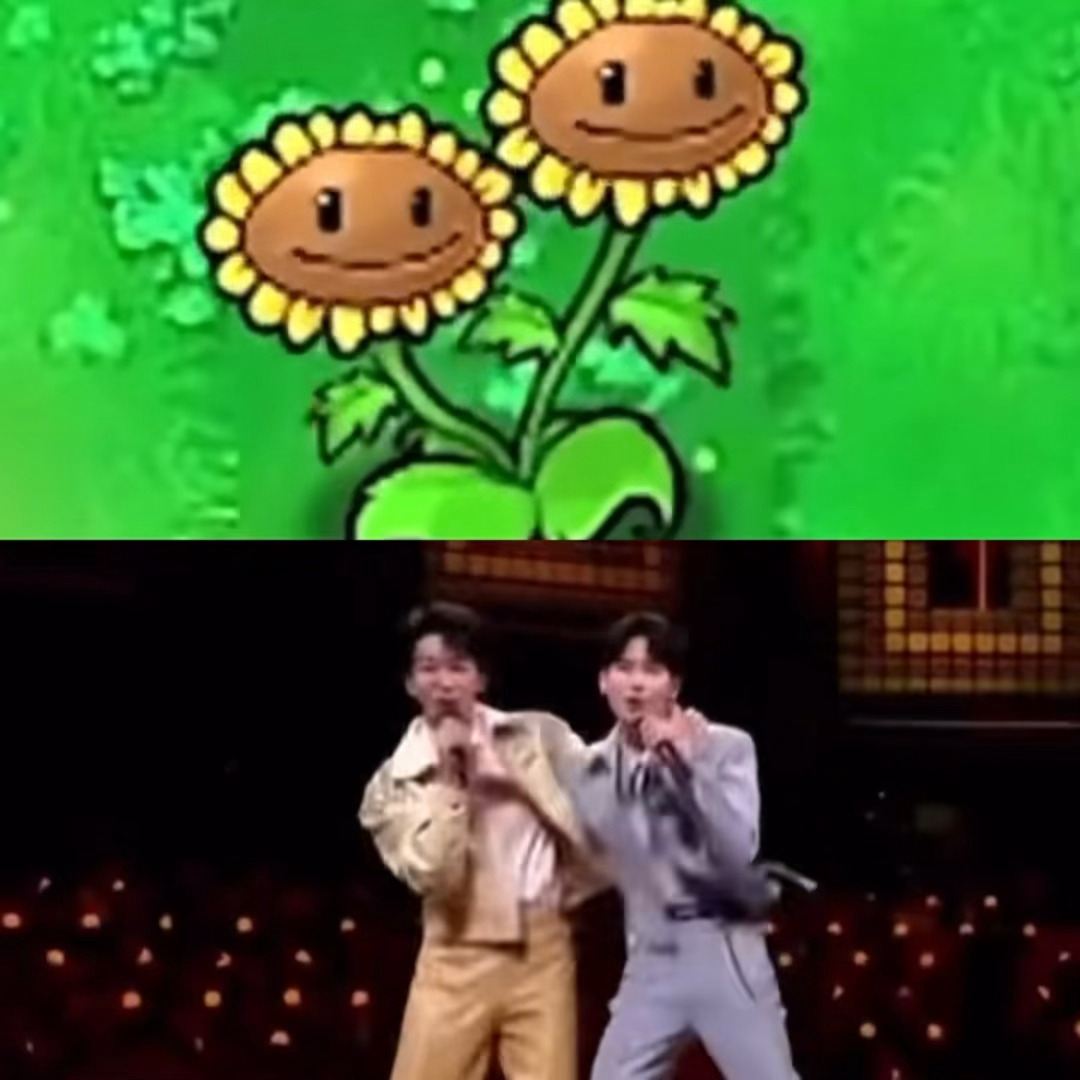 第一个想到胡先煦黄子弘凡是双头向日葵的人是天才