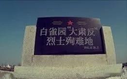 白雀园的时候，红四军的三十团，三个营长、十个连长、十个连指导员，都被张老四杀了。