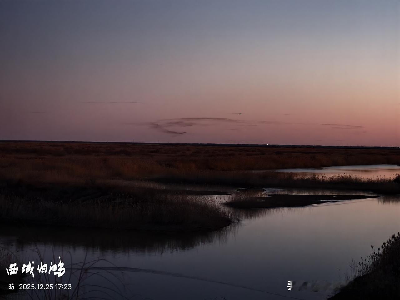 看图识东营：东营湿地风光。