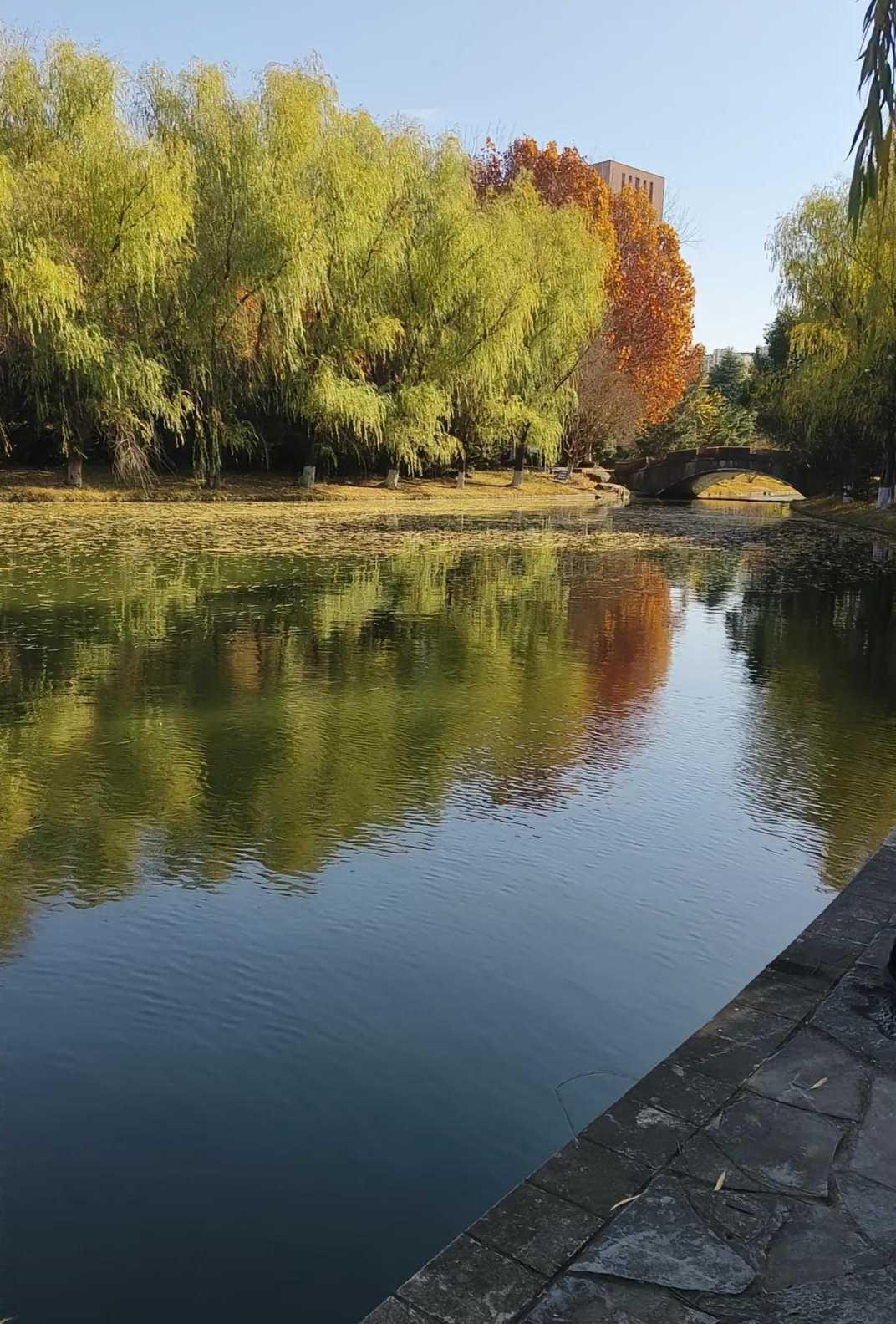 18岁女生校园湖中溺亡！同学靠游戏定位发现她在水里，8天过去妈妈住进医院，追责仍