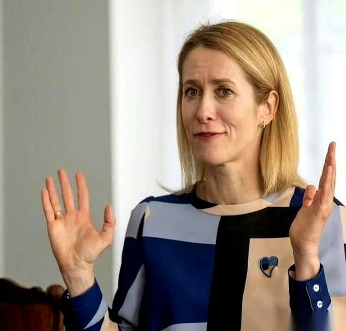 我跟你说个今天看到最离谱的事儿。
一个欧洲小国的女领导，公开提议：让正在进攻的军