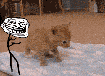 猫猫：我就知道有人推我 