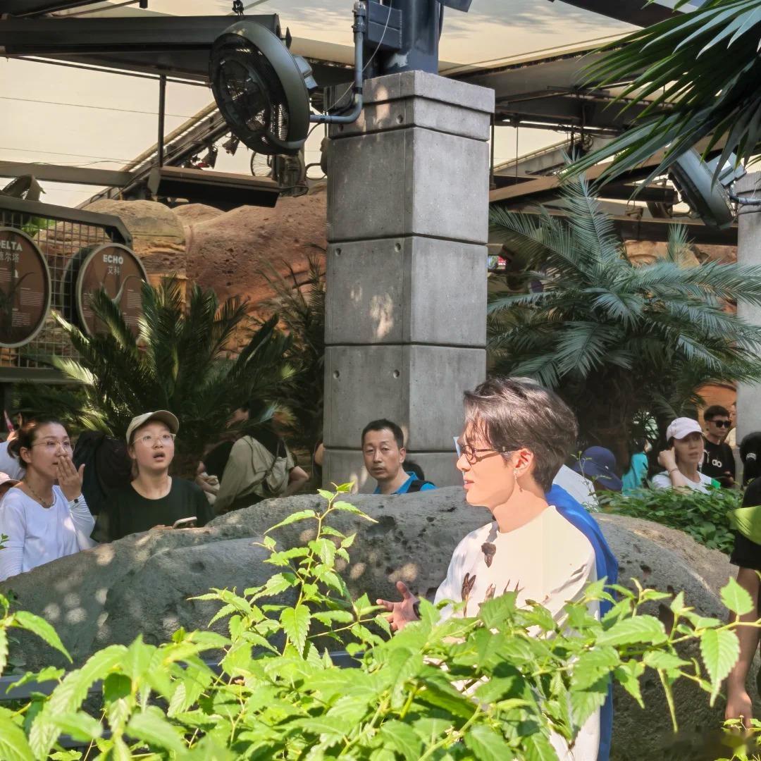 环球影城偶遇陈伟霆曾舜晞九门 偶遇陈伟霆曾舜晞逛环球影城，推测是配合新剧开展宣传