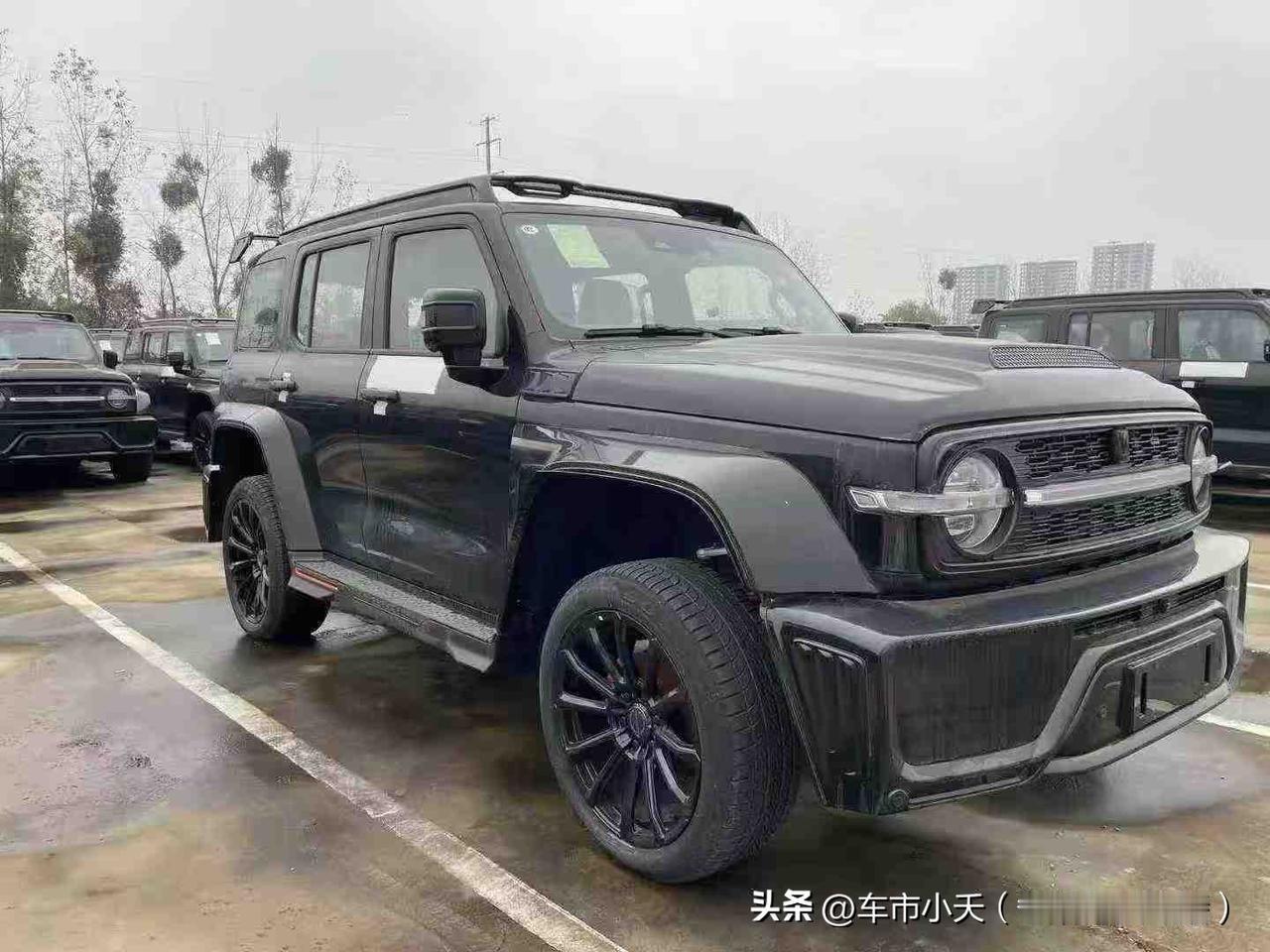 坦克300的赛博版真没啥市场，二级市场有一批车，卖了快一年了。这车定价33.8万