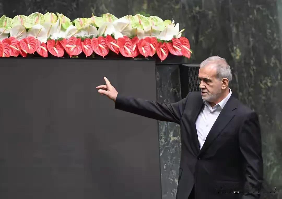 伊朗和美国这对老冤家，这次真让人惊掉下巴。以往那可是针尖对麦芒，战火仿佛一触即发