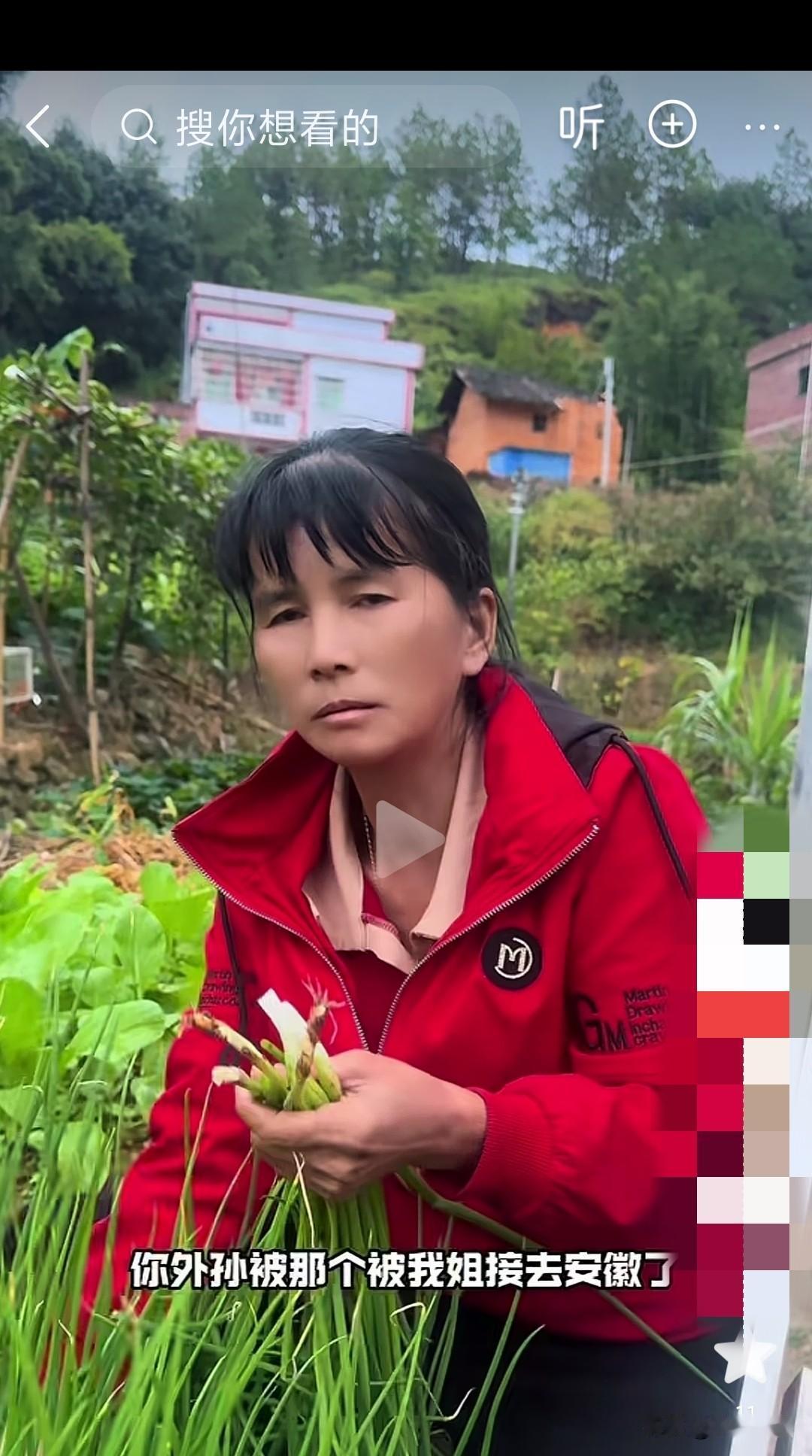 美霞把他儿子接去安微，美霞妈妈心里也很难受！

美霞妈妈在菜园摘菜的时候，美霞弟