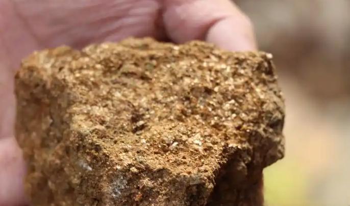 8岁孩子爬山挖菜，随手一指竟可能发现金矿！辽宁大连这男孩跟爸爸上山，认出了特殊植