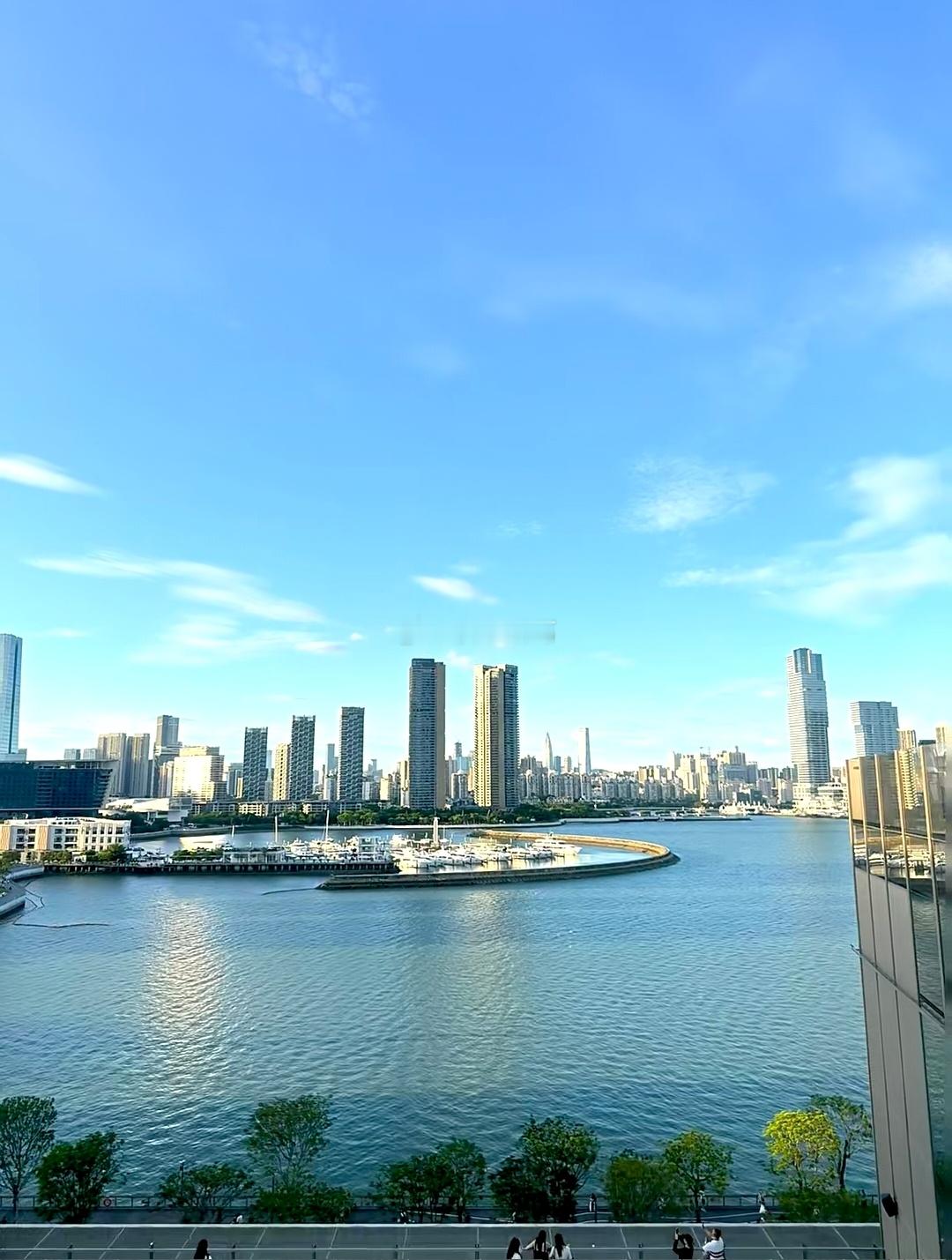 深圳，像是一群朝气蓬勃的年轻人在建设着的城市。 