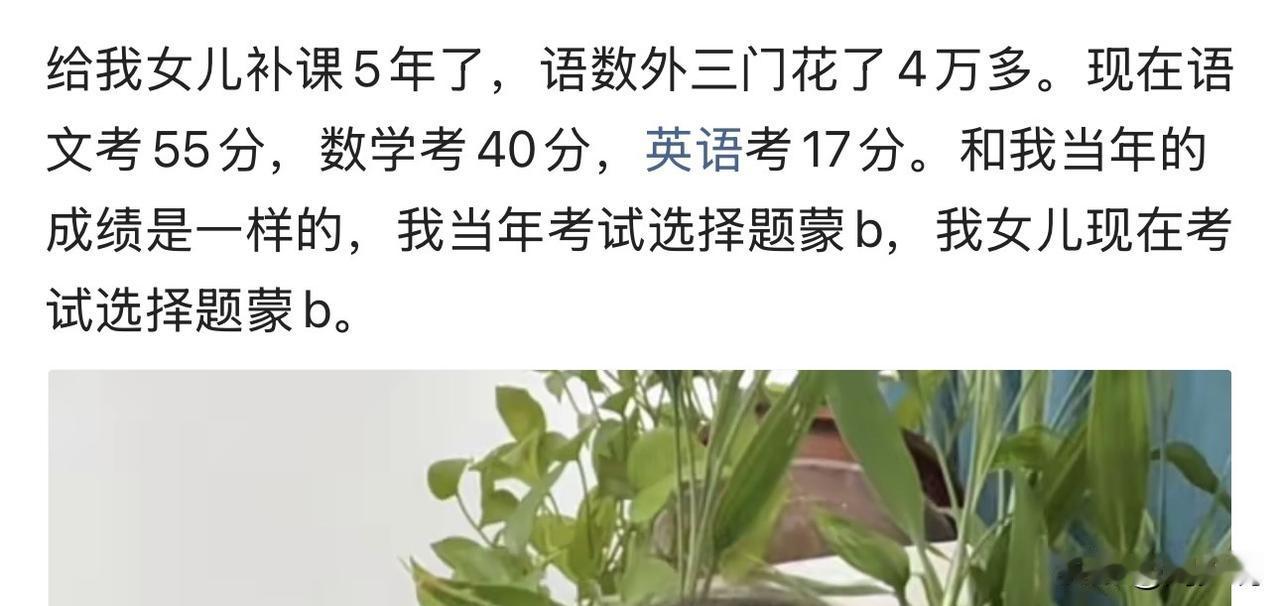 “太理解这位家长的无奈了！”一位家长发文说：“自己给女儿补课整整5年，语数外三门