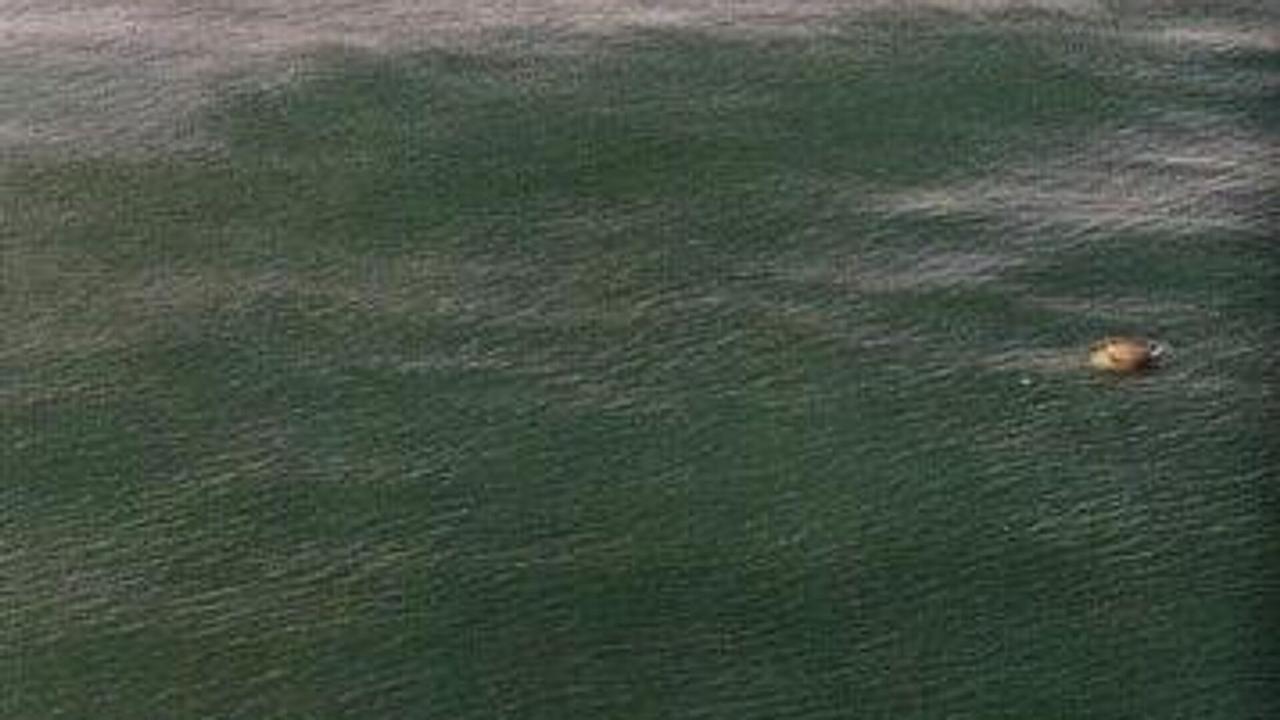 伊朗指挥部称伊朗无需在波斯湾布雷

俄罗斯卫星通讯社 2026年3月24日, 0