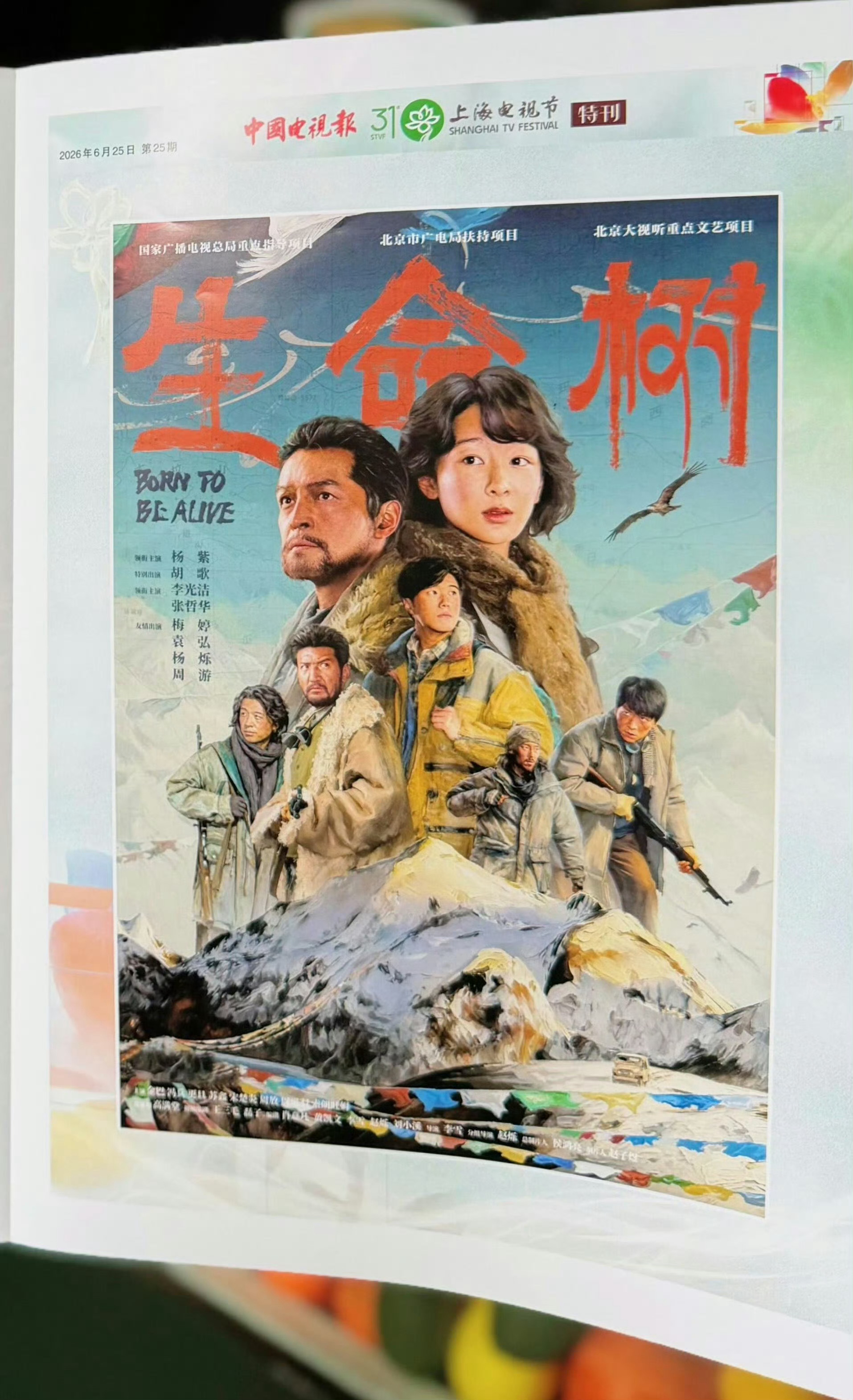 中国电视报上海电视节特刊我是观众，我支持杨紫拿视后 