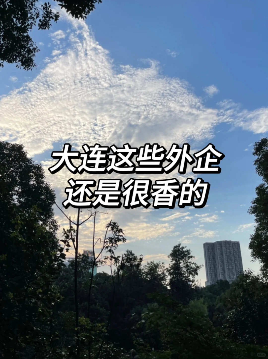 大连这些外企还是很香的