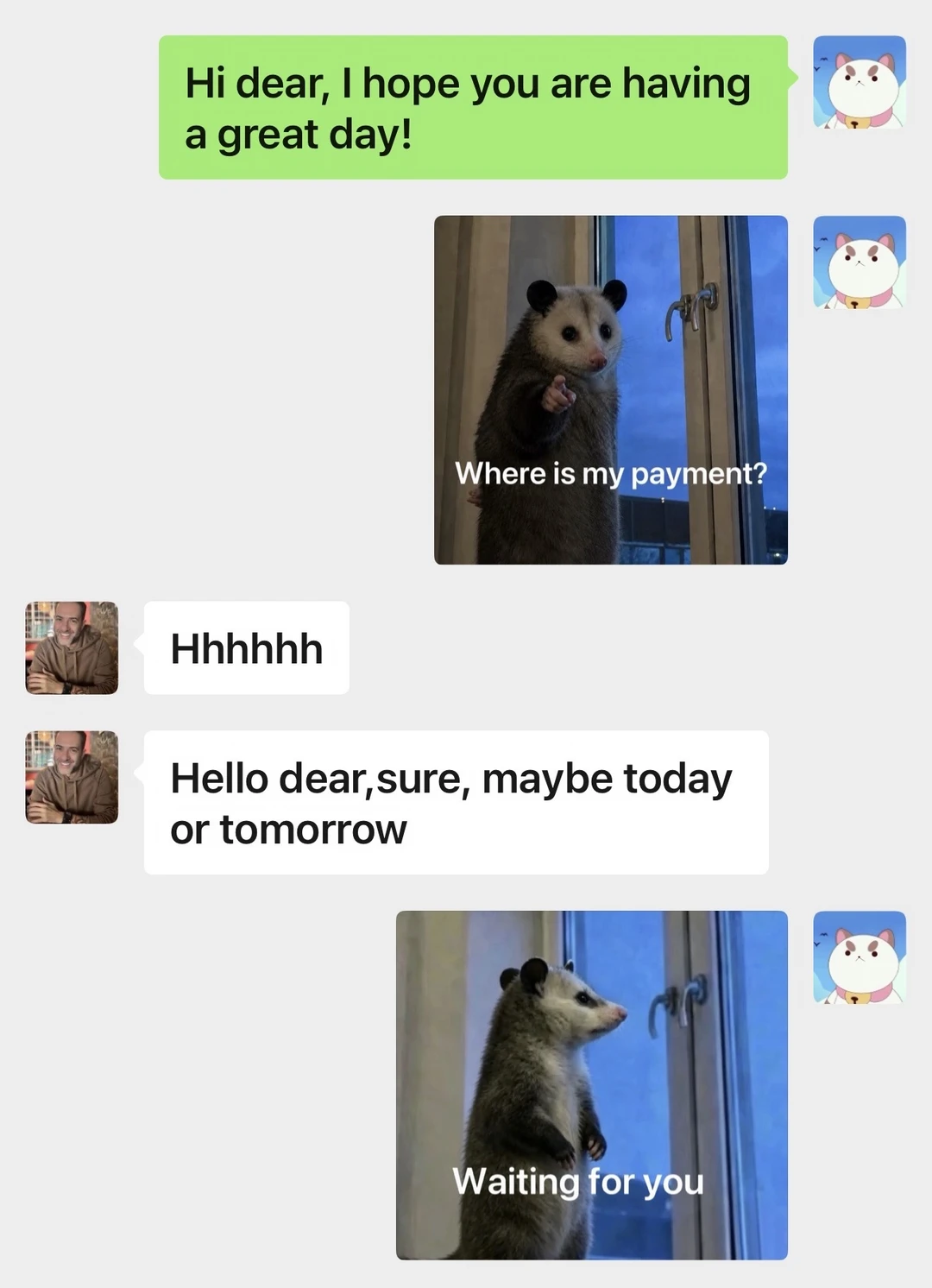 一个负鼠外贸表情包，老外回我消息了