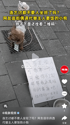 “太可怜了！”小狗狗替主乞讨！这是博眼球摆拍，还是没办法下的选择？网友:懂事得让