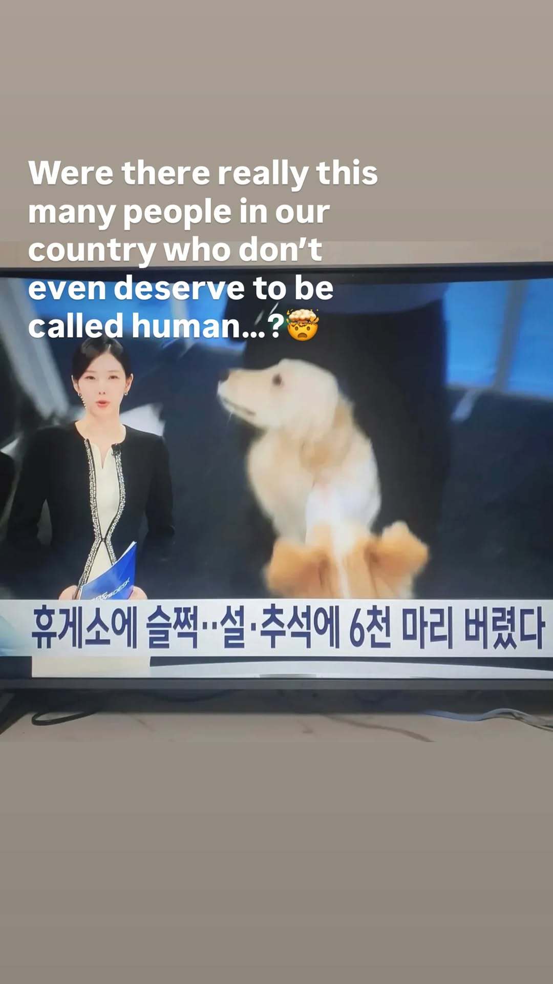 “CB百蓝_。260219金钟云 ins story更新： 