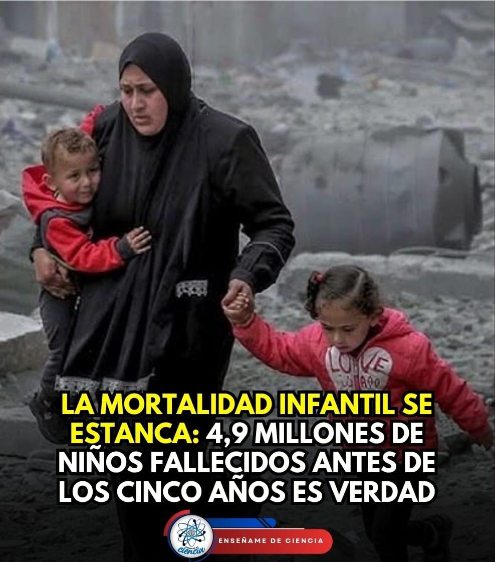 🚨全球儿童死亡率呈现停滞迹象：根据联合国儿童基金会和联合国的数据，去年近490