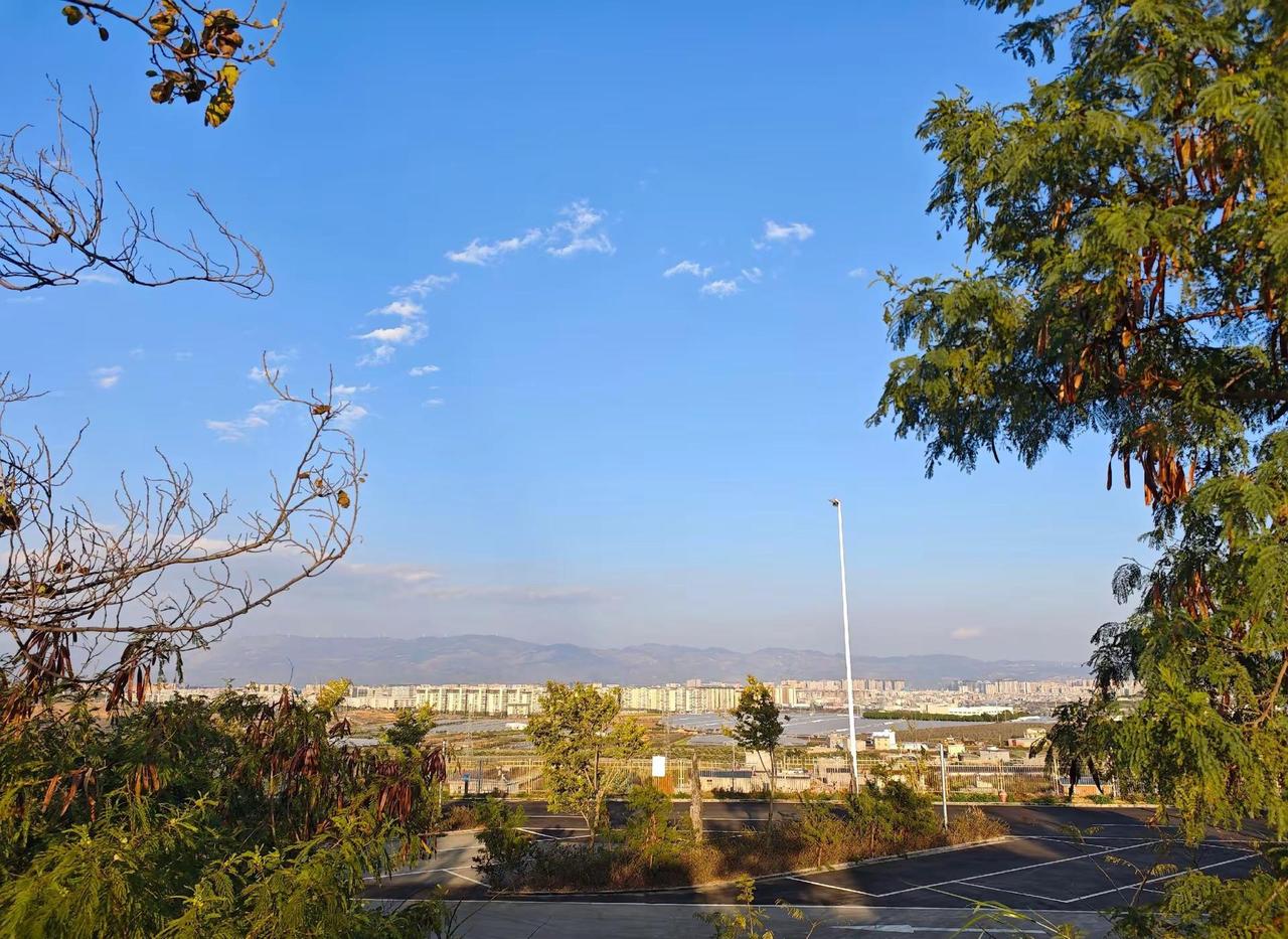 公共交通是满足所有居民的需求不是个别人。回复 @街长的终末旅行的评论 一个社会好