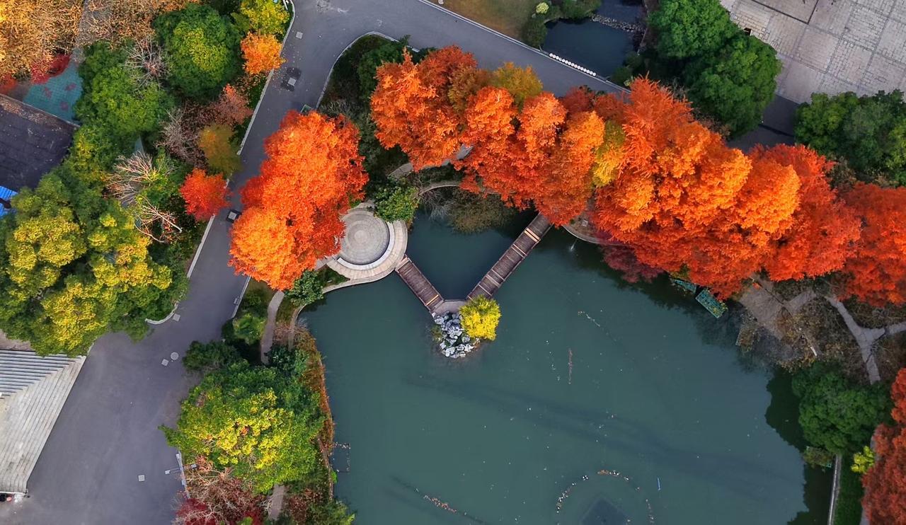 人到中年才懂
任何人的底气都来源于经济实力
我赚钱
不是因为我多爱钱
而是我看到