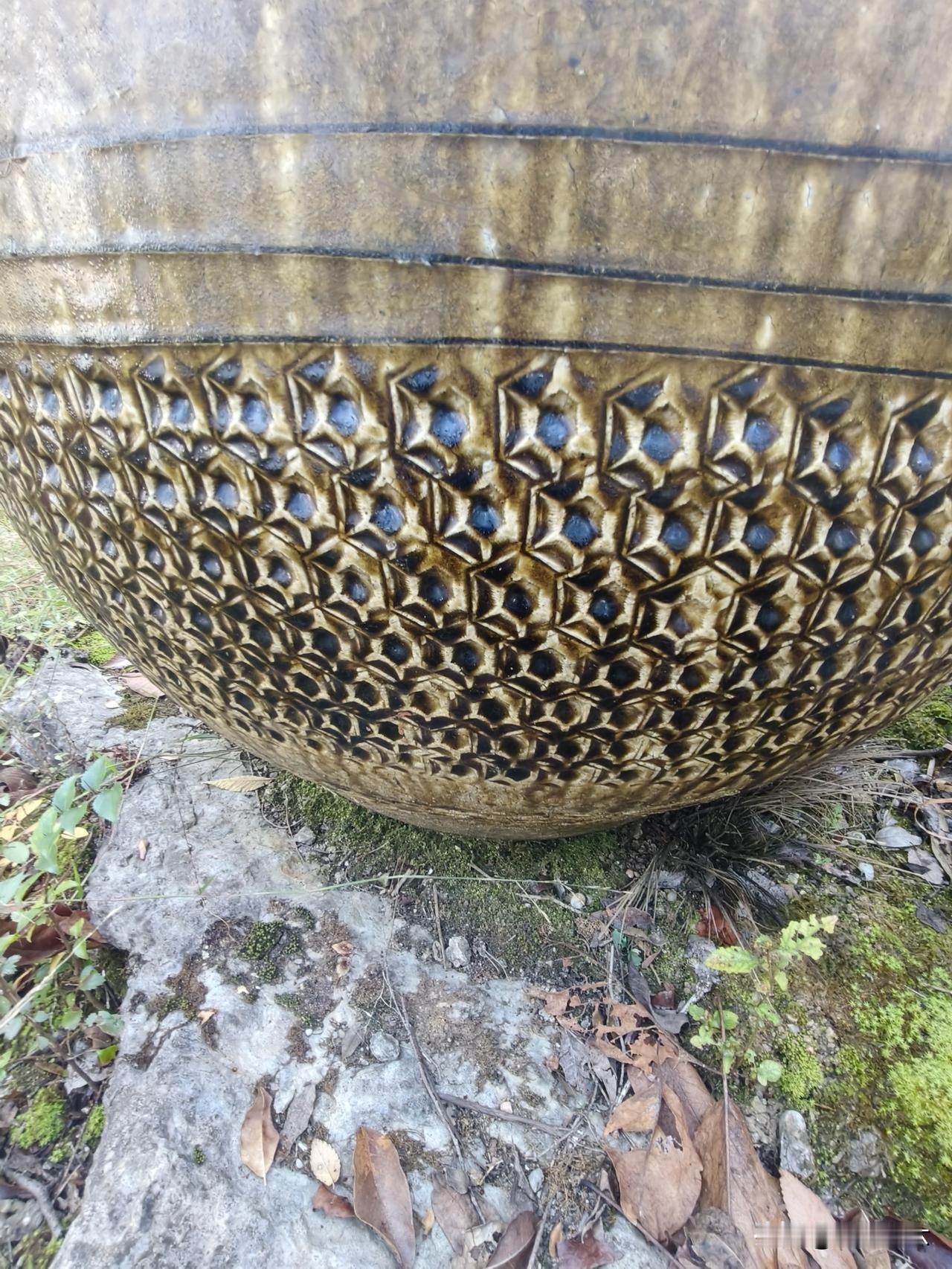 作者加速成长计划今天在山上看到几口大水缸，有一口烂底了，有一口完好无损。看这几口