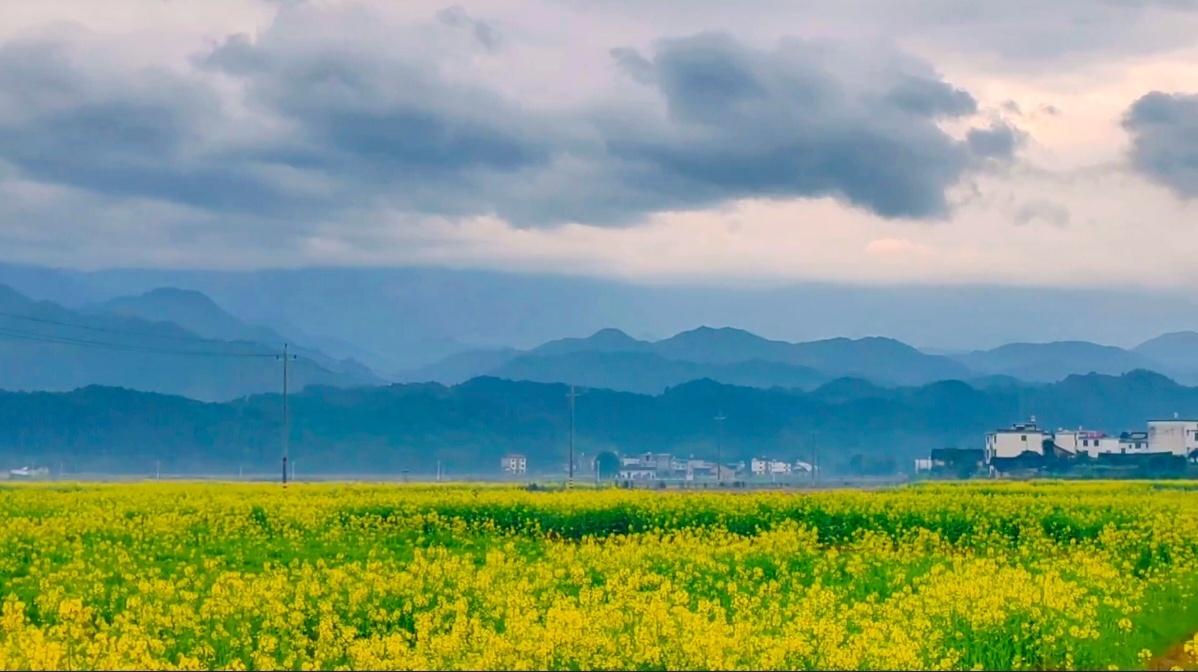 读《近思录》之3.38　

《论语》有读了后全无事者，有读了后其中得一两句喜者，