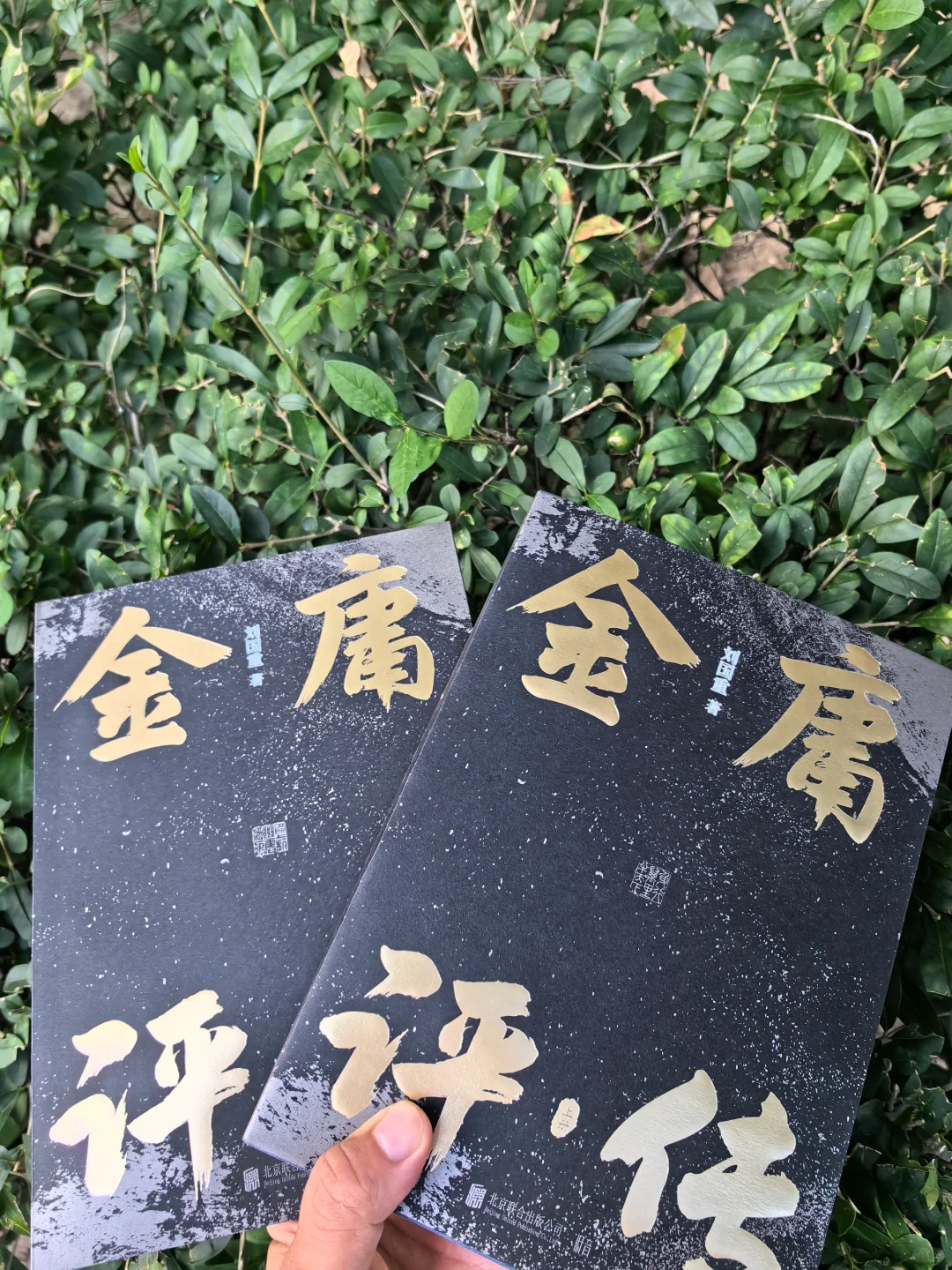 《金庸评传》：武侠巨人金庸的一生