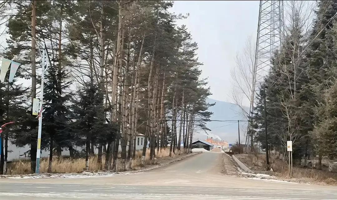 小魏月初发视频说头晕指标差要停工一个月，转头在快手夜夜直播三小时，带货语速比我还