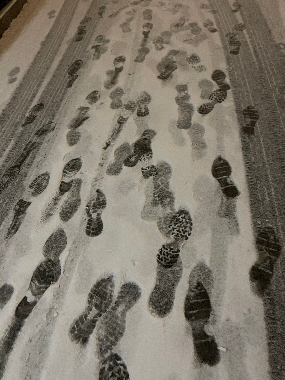 虽然下大雪，但我和家人依然决定，开车回去别院，因为这样的天气，我更要确认墨墨他们