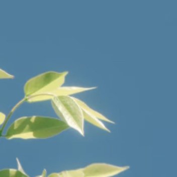 每日一善   每日一善   阳光信用 梦想注定是孤独的旅程，路上少不了质疑和嘲笑