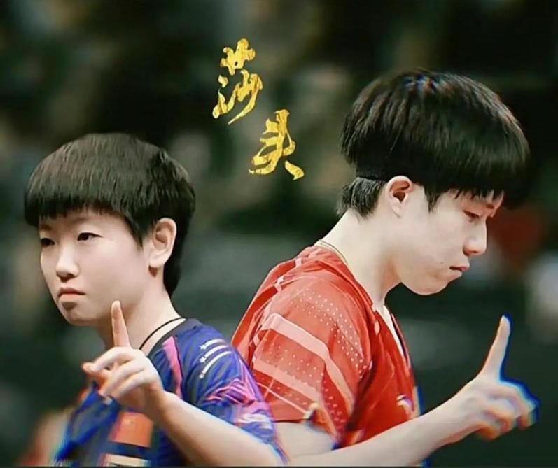 没有莎头：国乒为何再次“塌房”！

我有个观点，和大家讨论一下，国乒没了莎头，为