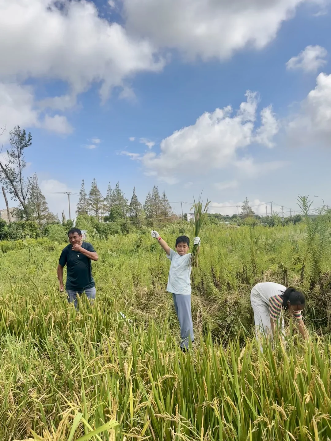 人均50亲子乐园，含有科普馆+文献馆