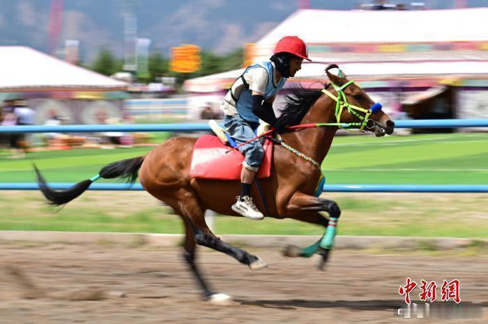 粤川沪甘媒体遇见最美肃南 【祁连雪山脚下展民族马术与裕固族风情】7月4日，甘肃省
