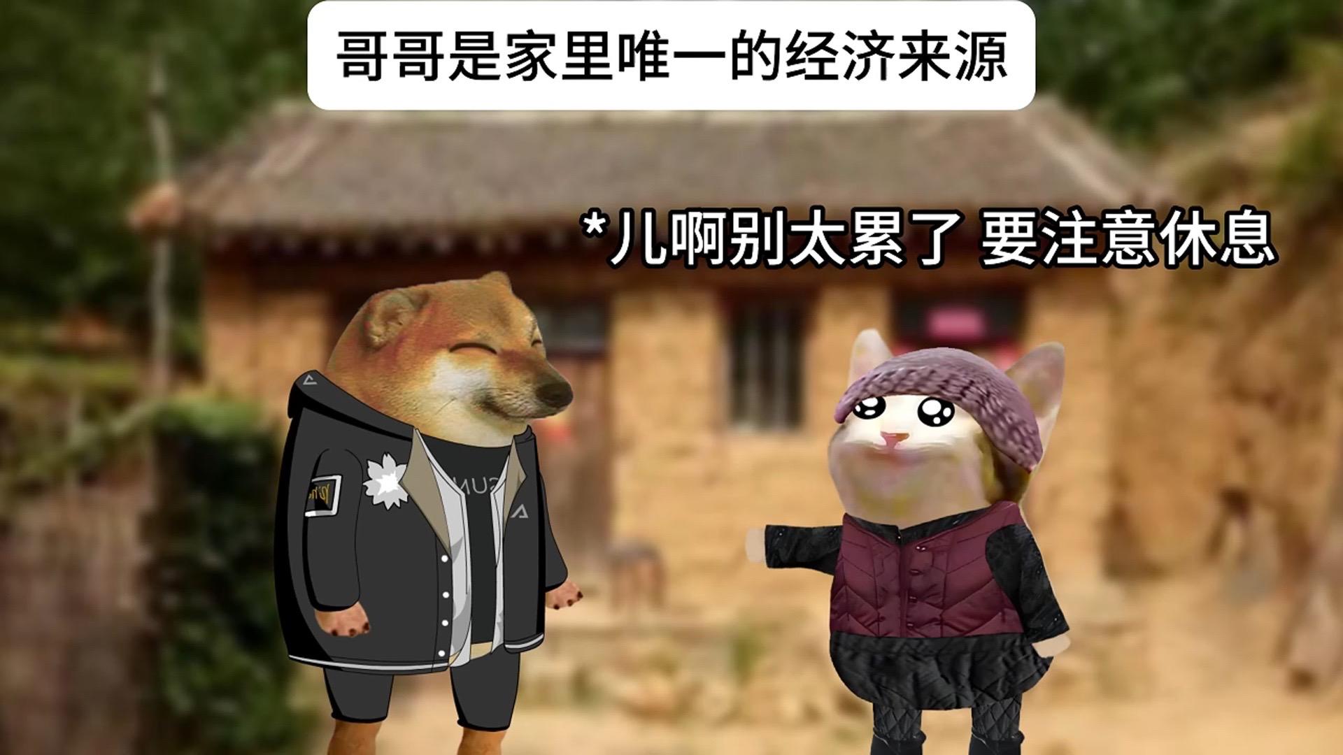 哥哥的爱。