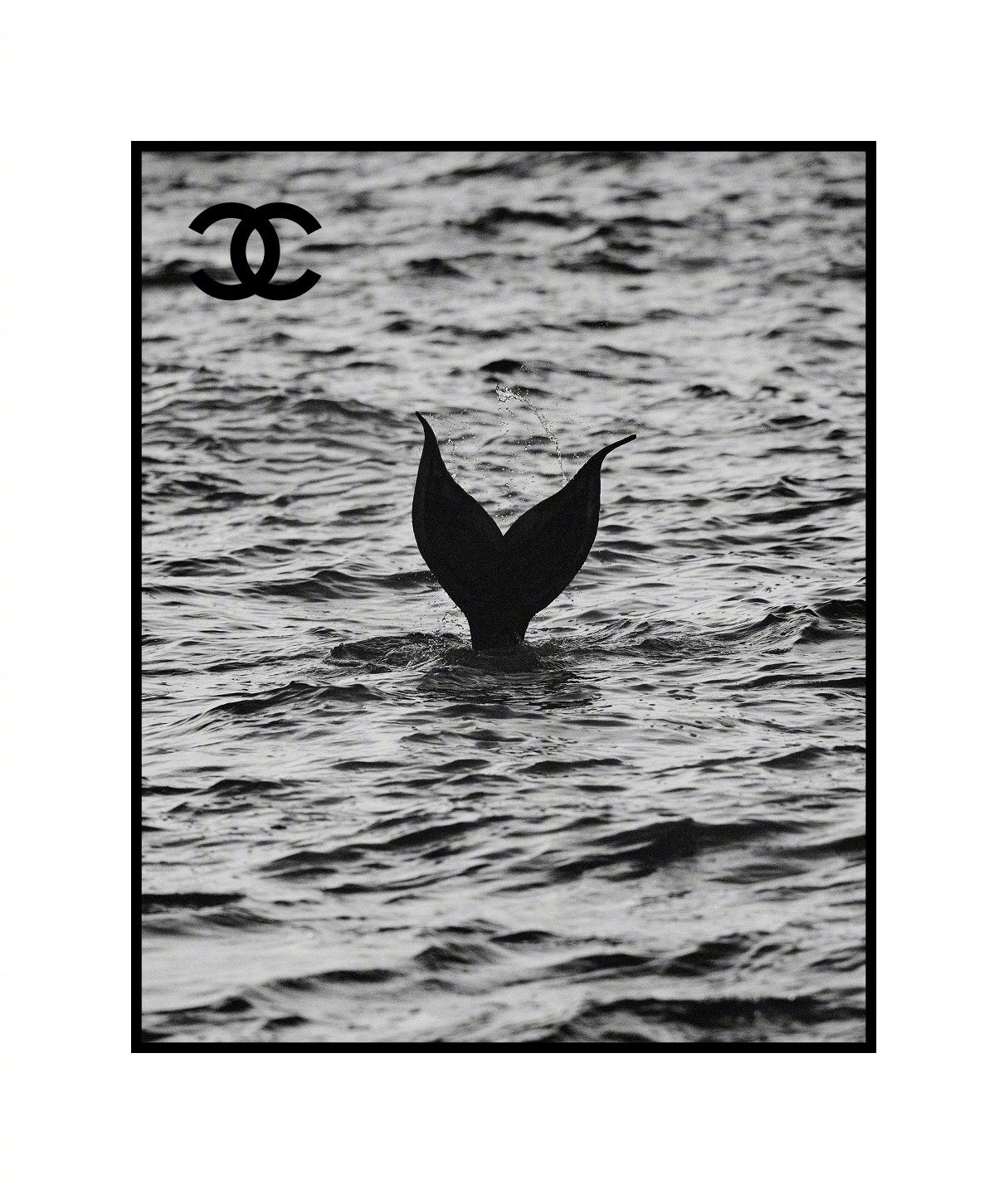 CHANEL Cruise 2026/27 🧜♀️📷  风格大赏 Matth