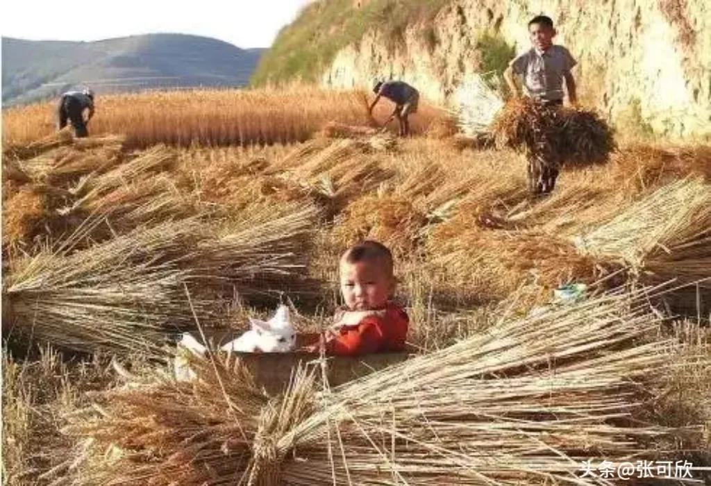 怀念儿时的快乐
那个充满回忆的年代
那时候虽然穷
但是没有压力
天天疯玩
没有人
