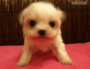 非遗里的匠心中国生活不是用来妥协的，你退缩得越多，能让你喘息的空间就越有限。日子