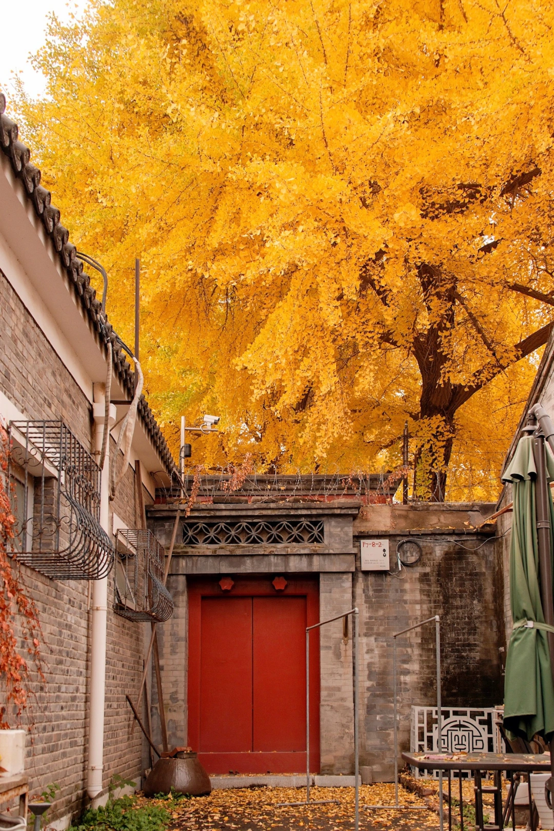 走这5️⃣条散步路线🍂你会反复爱上北京秋天