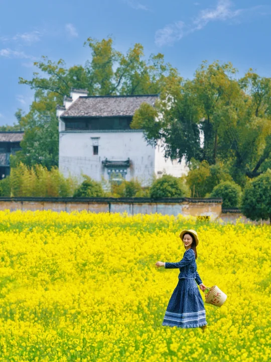 写给要去婺源看油菜花的姐妹👭全是大实话‼️