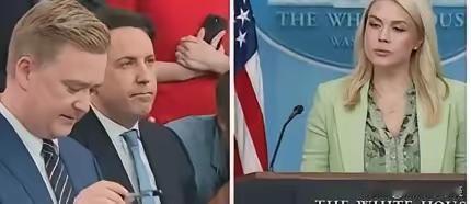 🔥 美国炸锅！近三年至少11名顶尖科学家离奇失踪/死亡，领域全是国家最高机密，