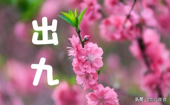 不是迷信！今日出九，牢记：1不去，2不开，3不洗，4要吃
 
2026年3月12