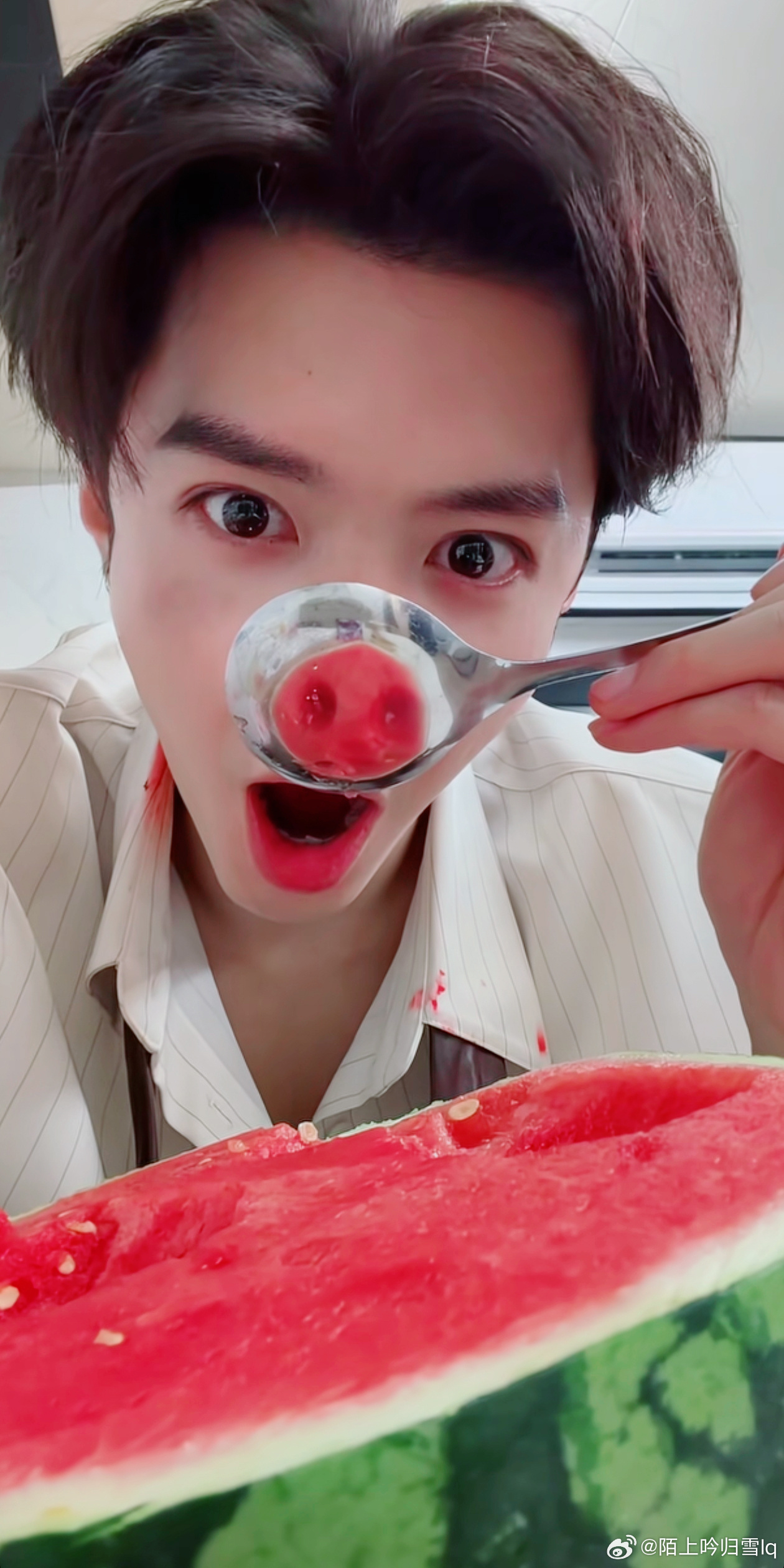 陈哲远 & 西瓜🍉小猪鼻嘎上线啦我们一起吃瓜瓜吧🍉小猪一勺🍉小圆包一勺🍉