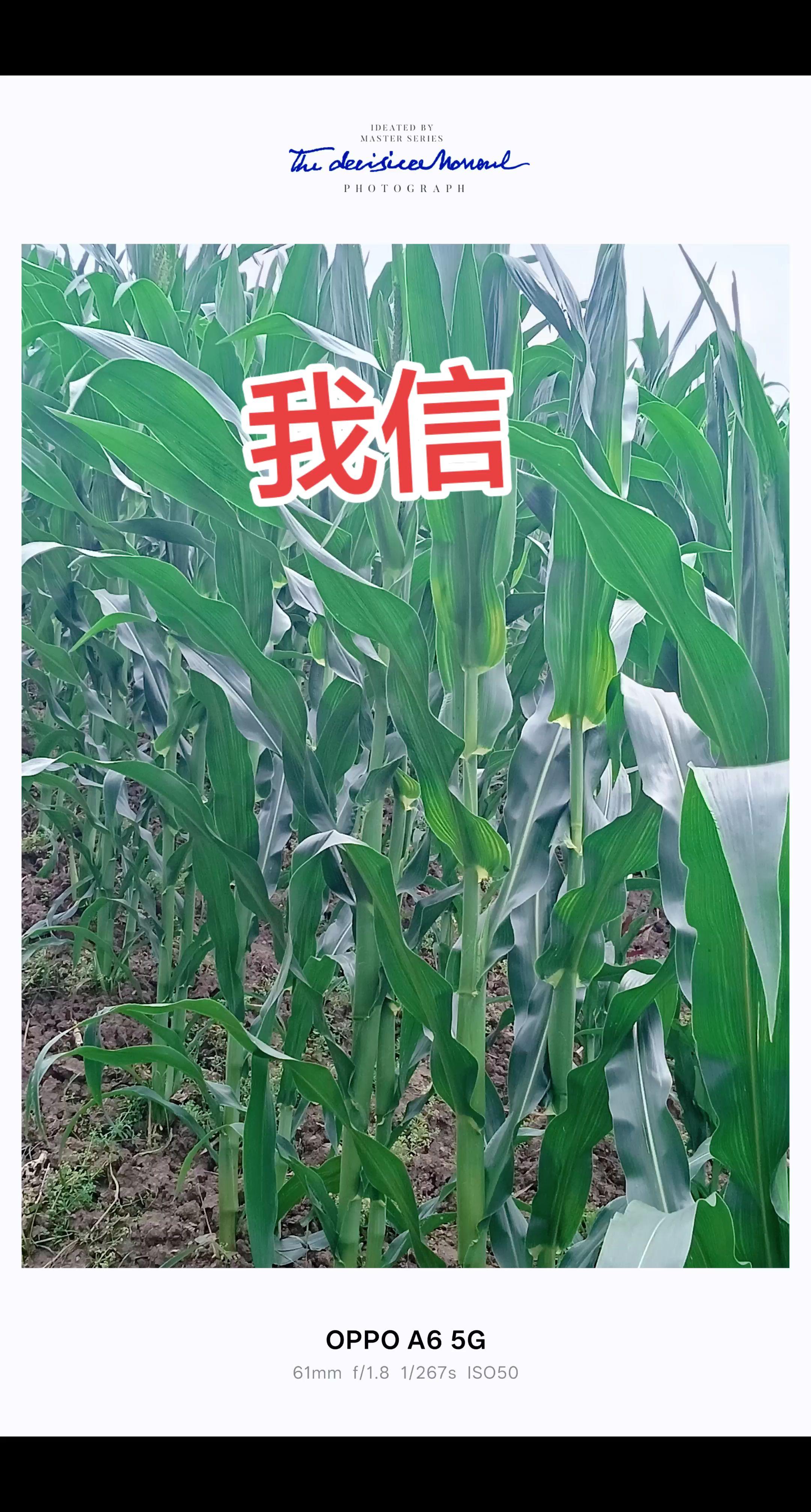 茁壮成长！