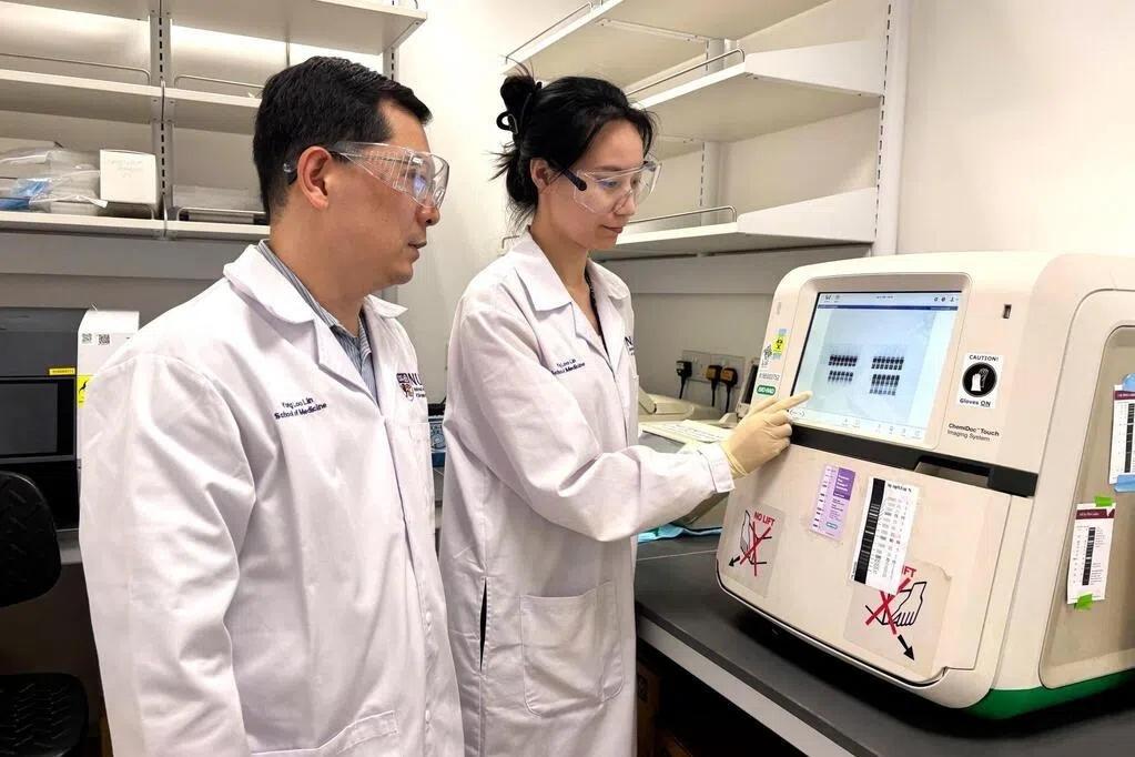 瑞典一项长达47年的追踪研究揭示，35岁是身体机能转折点，而锻炼可延缓衰退。 （